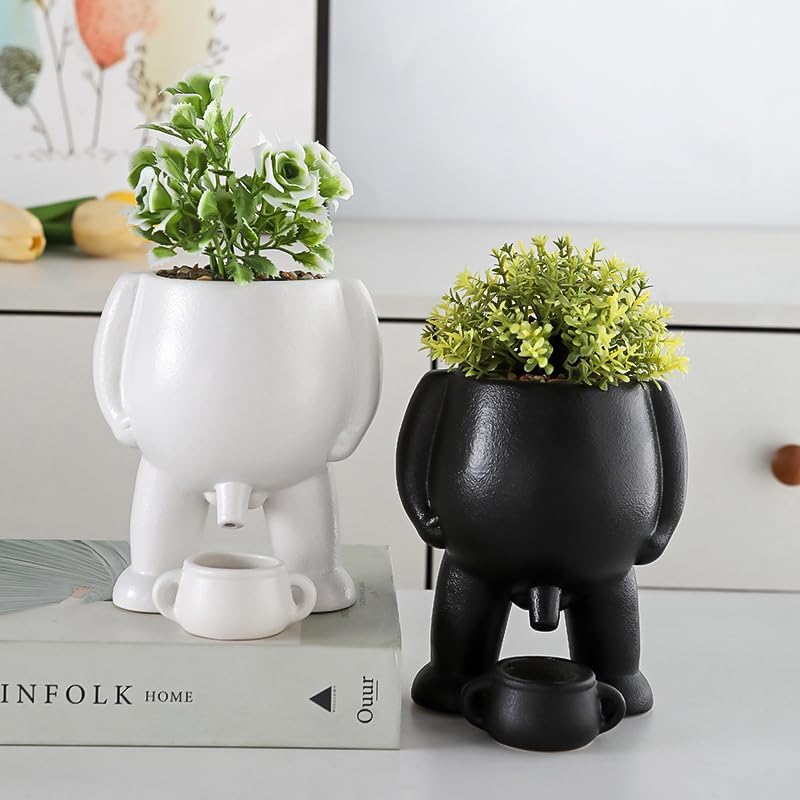 Naughty Planter – Humorous Plant Pot for Desk, Shelf, or Living Room