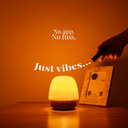 Havie Lamp