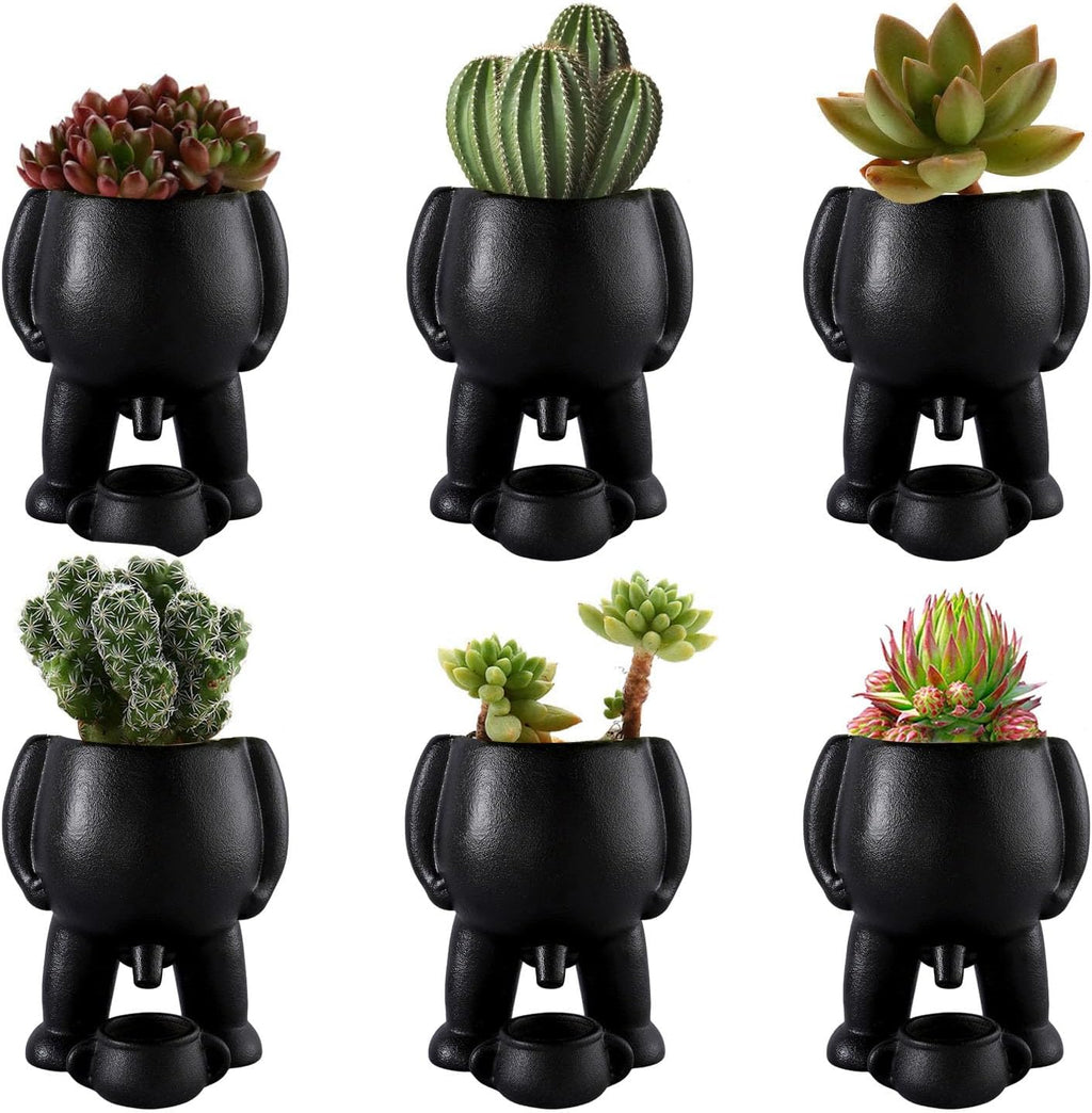 Naughty Planter – Humorous Plant Pot for Desk, Shelf, or Living Room