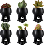 Naughty Planter – Humorous Plant Pot for Desk, Shelf, or Living Room