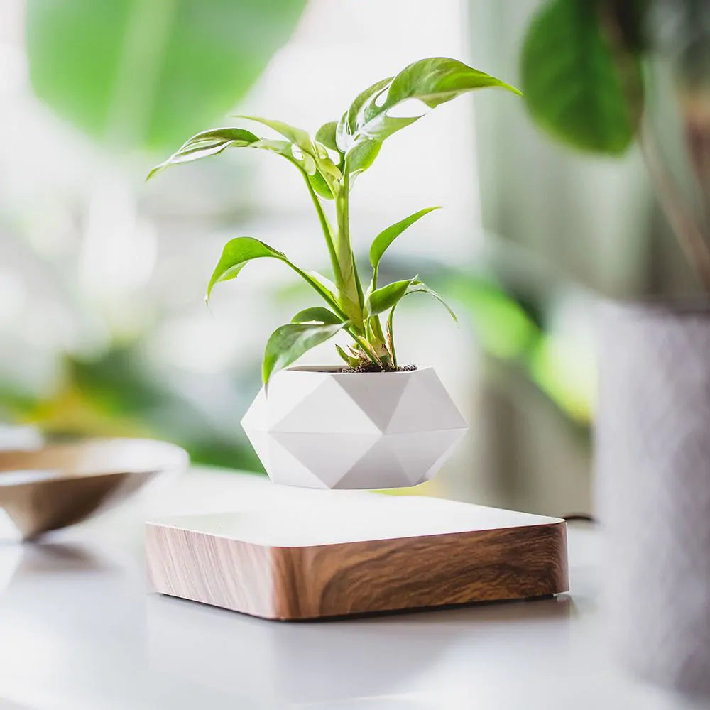 Futuristic Floating Plant Pot Using Magnetic Levitation Technology