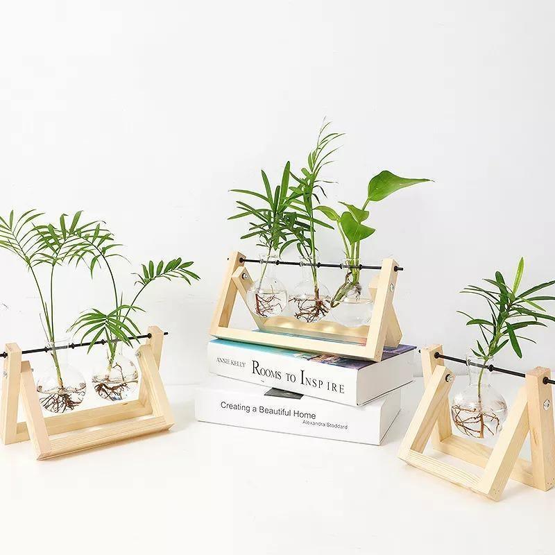 Glass Propagation Vase with A-Frame Wood Stand - Lily & Eden