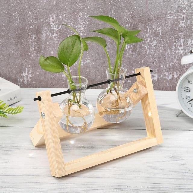 Glass Propagation Vase with A-Frame Wood Stand - Lily & Eden