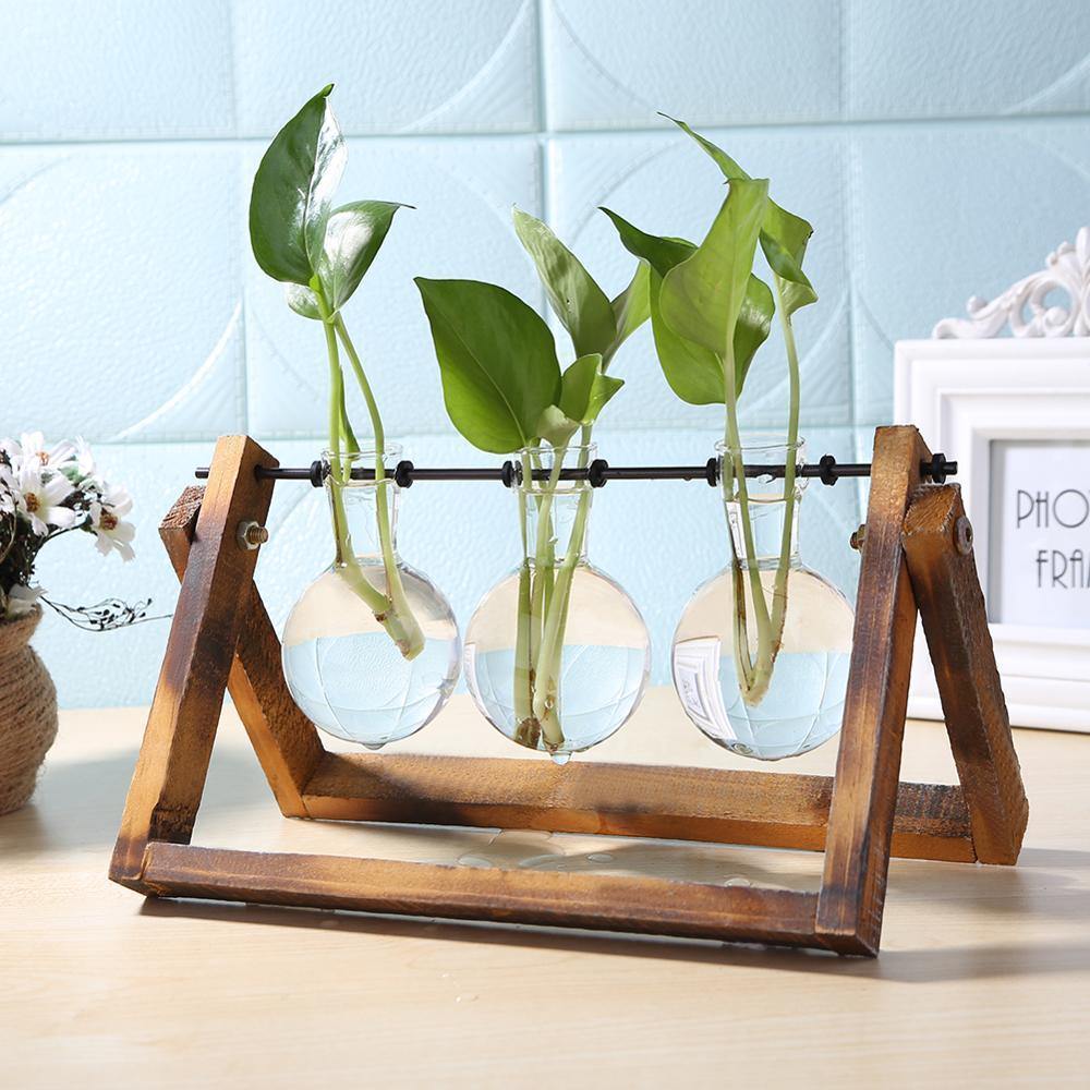 Glass Propagation Vase with A-Frame Wood Stand - Lily & Eden